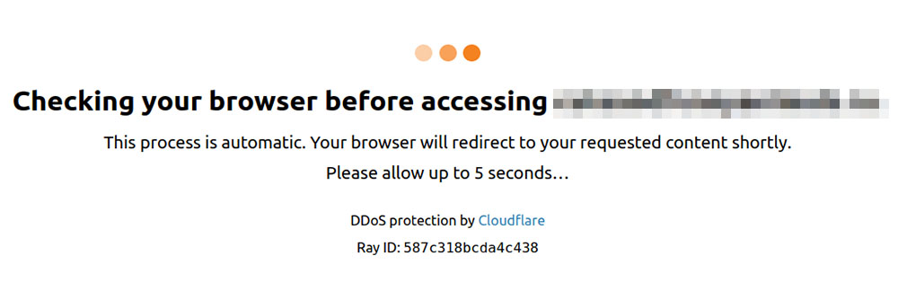 Иногда после перехода перед вами может появиться страница с проверкой от Cloudflare. Это ещё один ход, который используют мошенники, чтобы убедить вас в безопасности страницы